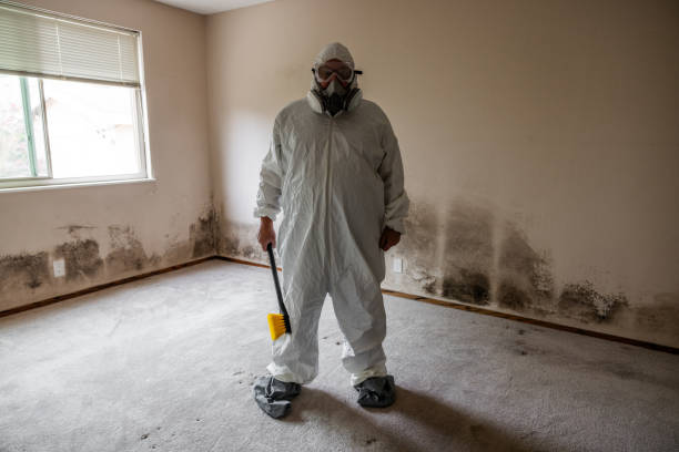 Best Commercial Mold Removal  in Oak Ridge, TN